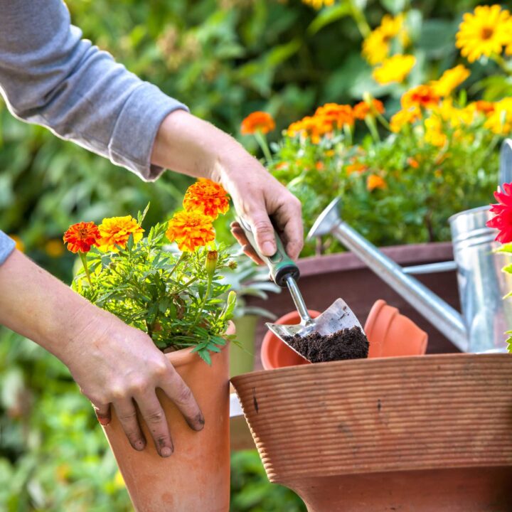 Hände-Gartenhilfe-Gartenarbeit