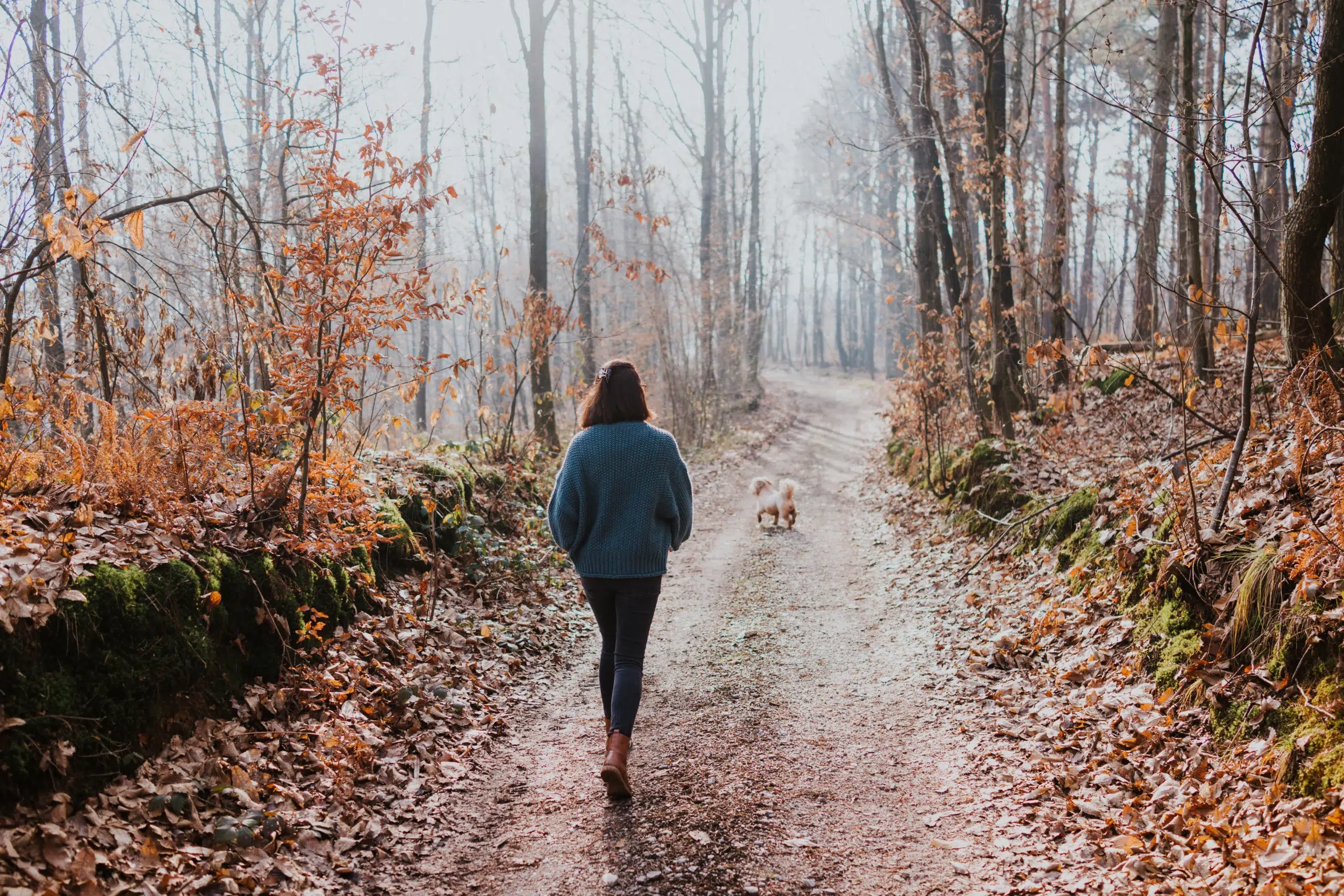 Frau Macht Mit Hund Waldspaziergang Scaled