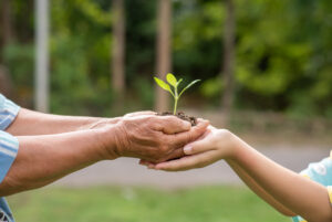 Elderly Person Children Holding Plant