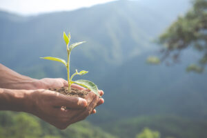 Environmental Conservation Garden Children