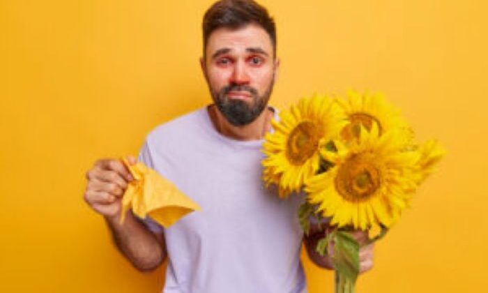 Man Suffers From Allergy Has Runny Nose Red Watery Eyes Holds Tissue Holds Bouquet Sunflowers Isolated Yellow 300X200 1