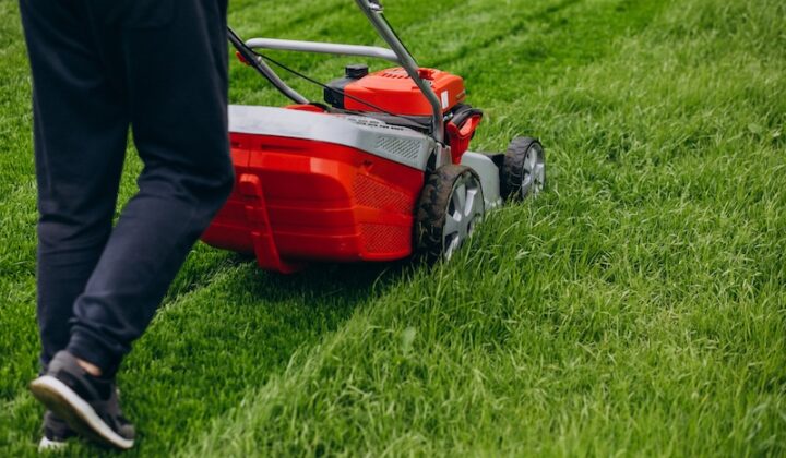 Eine Person in schwarzen Hosen schiebt einen roten Rasenmäher über einen üppigen, grünen Rasen. Das Gras wird ordentlich beschnitten, was auf eine ruhige Gartenszene schließen lässt.