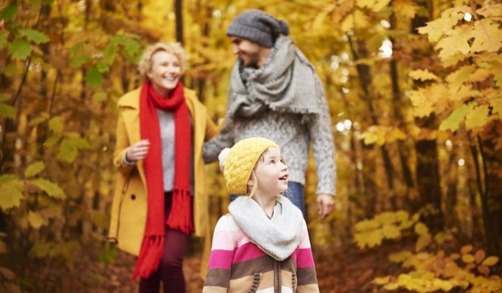 three members family woods