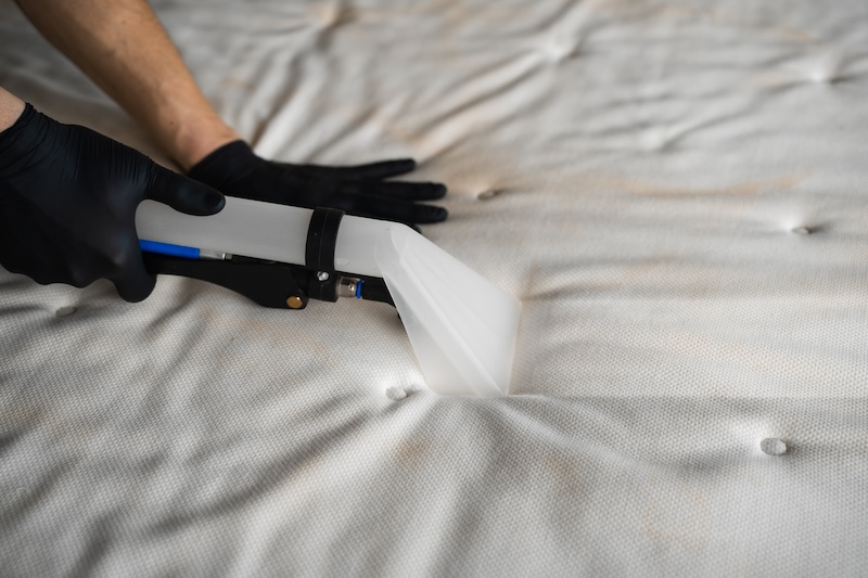 Mattress Cleaning With Extractor Home Dry Cleaning With Extractor Get Rid Stains Dust Dirt House Furniture