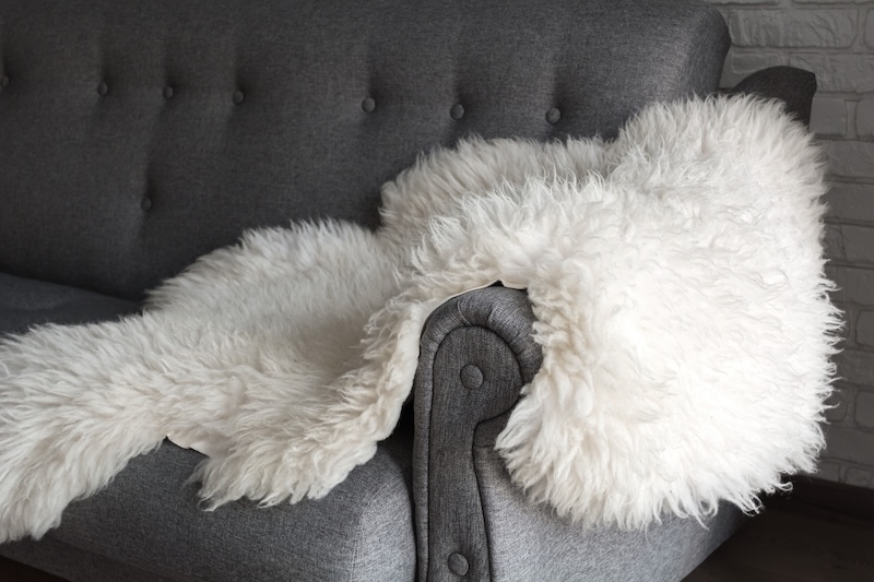 White Sheep Skin Gray Sofa Cozy Place Relax Apartment 1