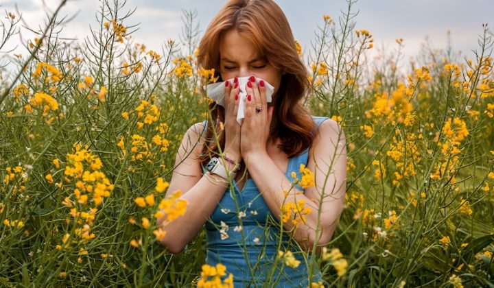 Woman with tissue sneezing in field of yellow flowers. She wears a blue top, conveying discomfort, possibly due to allergies. Overcast sky in background.