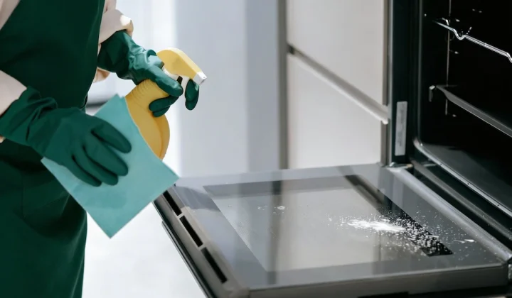 backoven reinigen