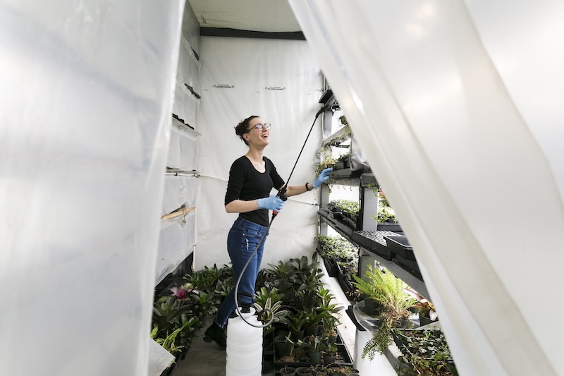Woman Watering Plants Hothouse