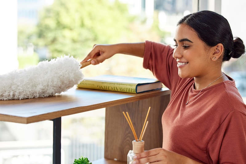 Cleaner Cleaning Service Woman With Dust Brush Cleaning Living Room With Housekeeping Clean Furniture From Dirt Hygiene Disinfection Dusting House Work With Spring Cleaning