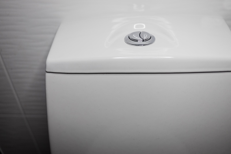 Flushing Toilet Button
