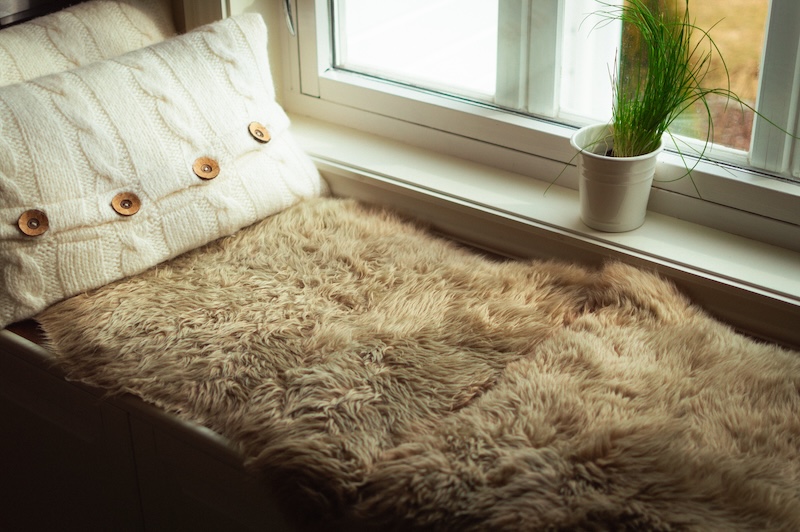 High Angle Shot Bed Pillows By Window Vase Captured Madeira Portugal