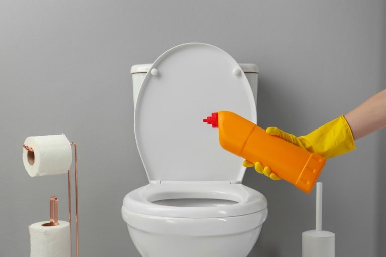 woman cleaning a toilet with detergent in a bathroom closeup image