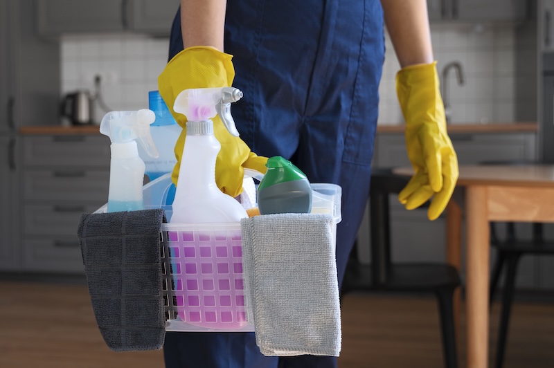 Front View Woman Cleaning Home 3