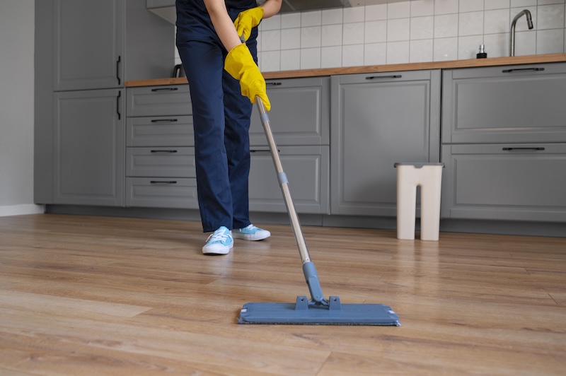 Front View Woman Cleaning Home 3